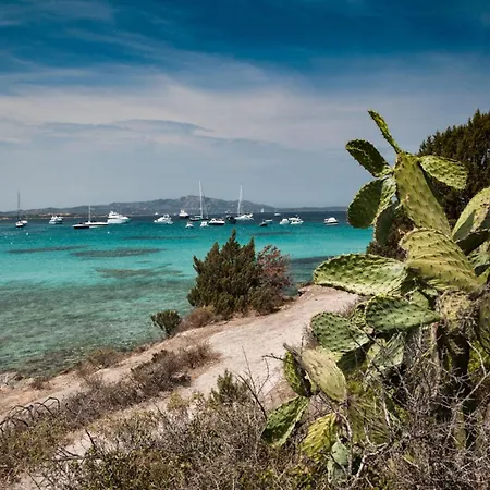 Oleandri 50m From Seashore - Happy Вилла *