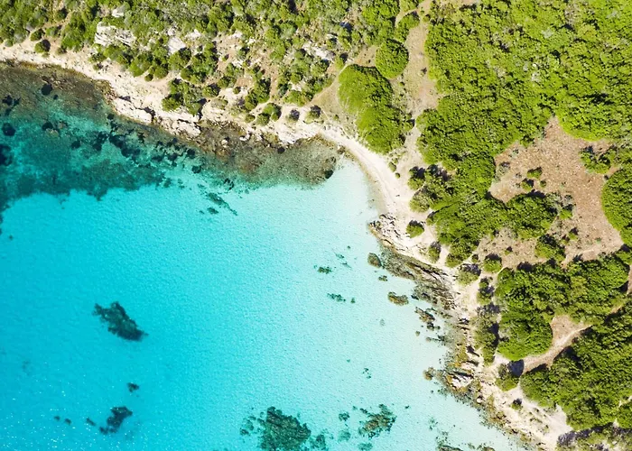 Oleandri 50m From Seashore - Happy Villa Golfo Aranci